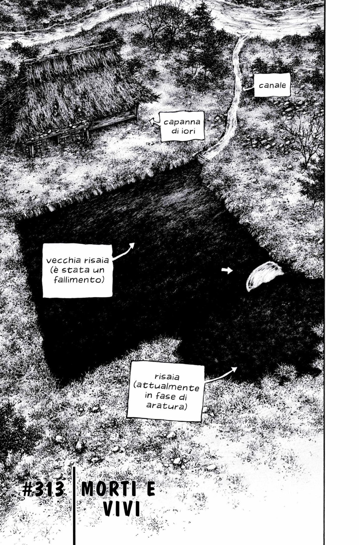 Read Vagabond IT Manga Online