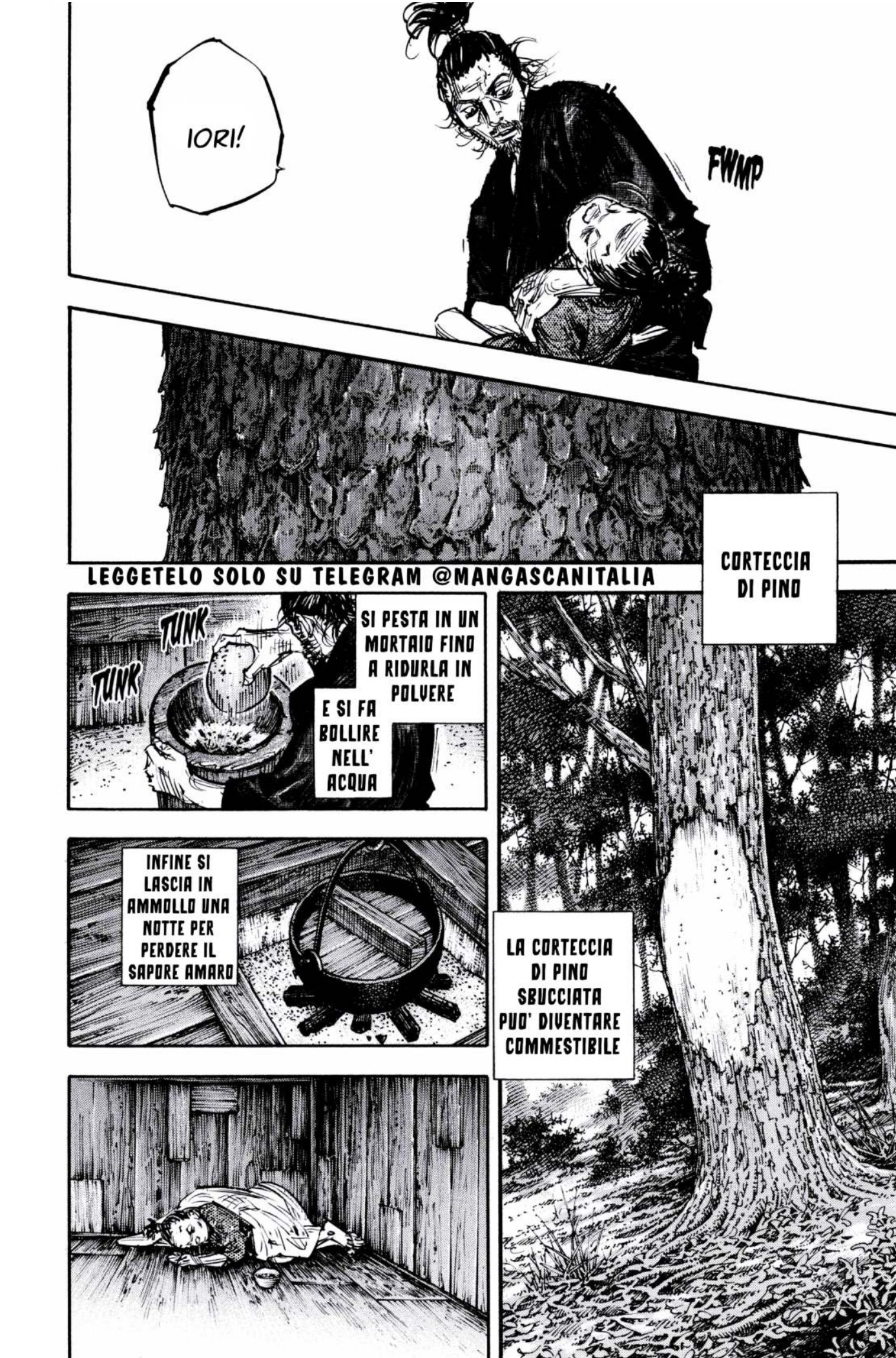 Read Vagabond IT Manga Online