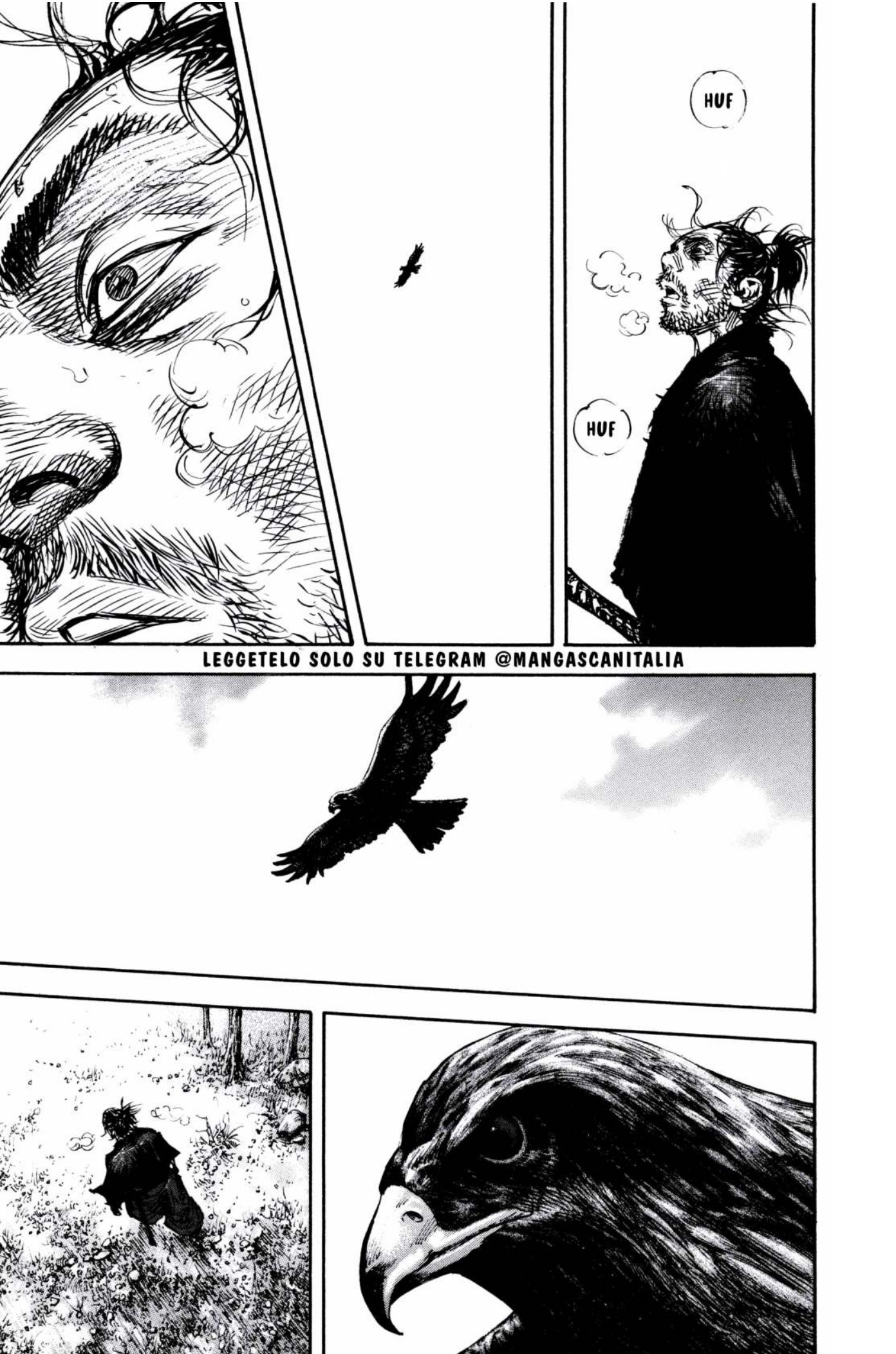 Read Vagabond IT Manga Online