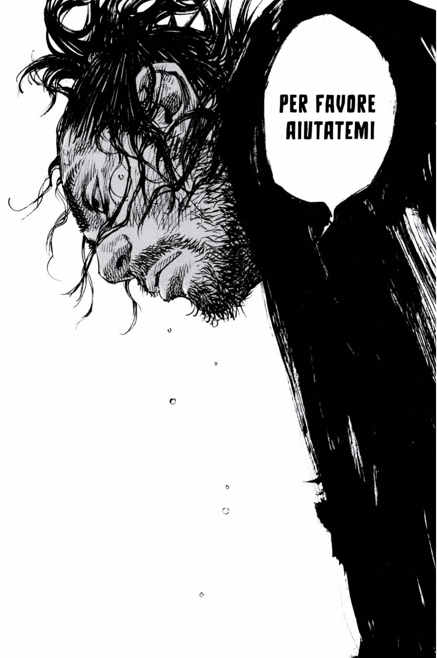 Read Vagabond IT Manga Online