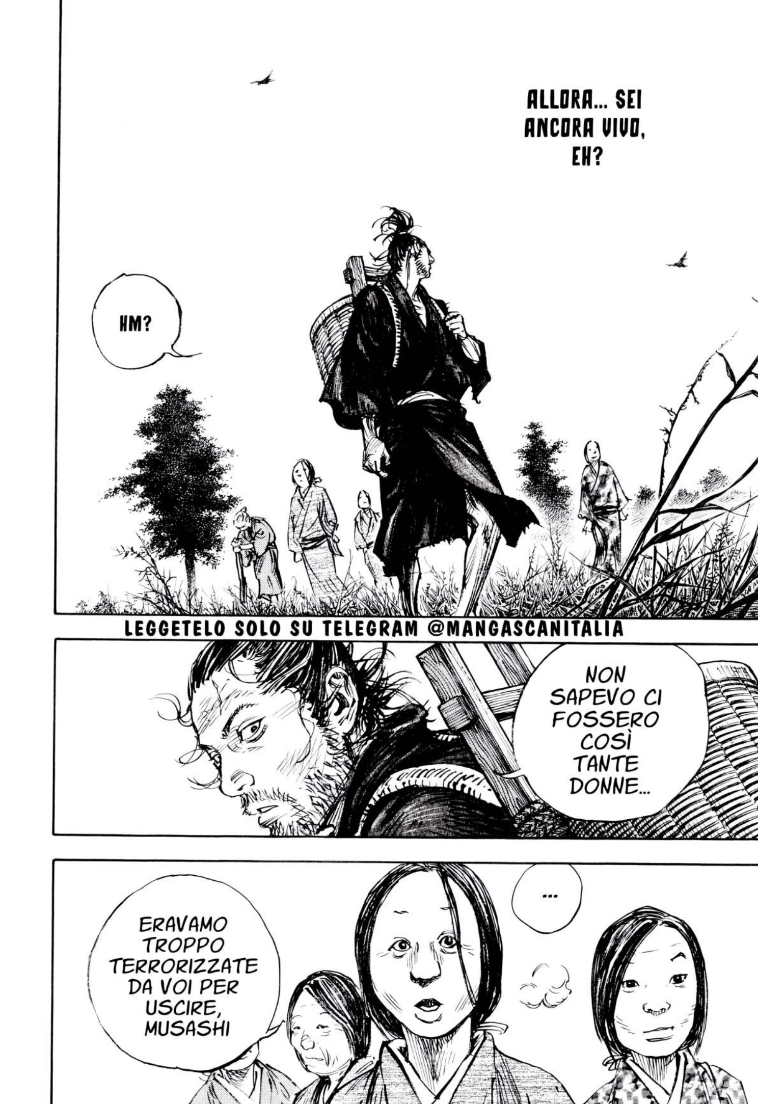 Read Vagabond IT Manga Online