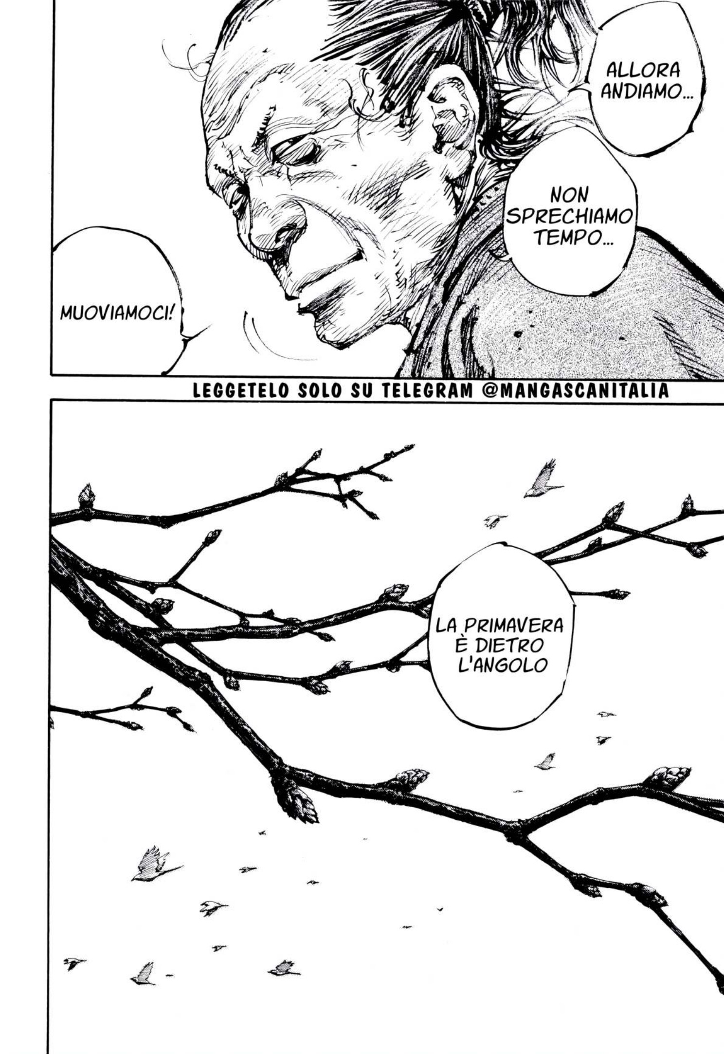 Read Vagabond IT Manga Online