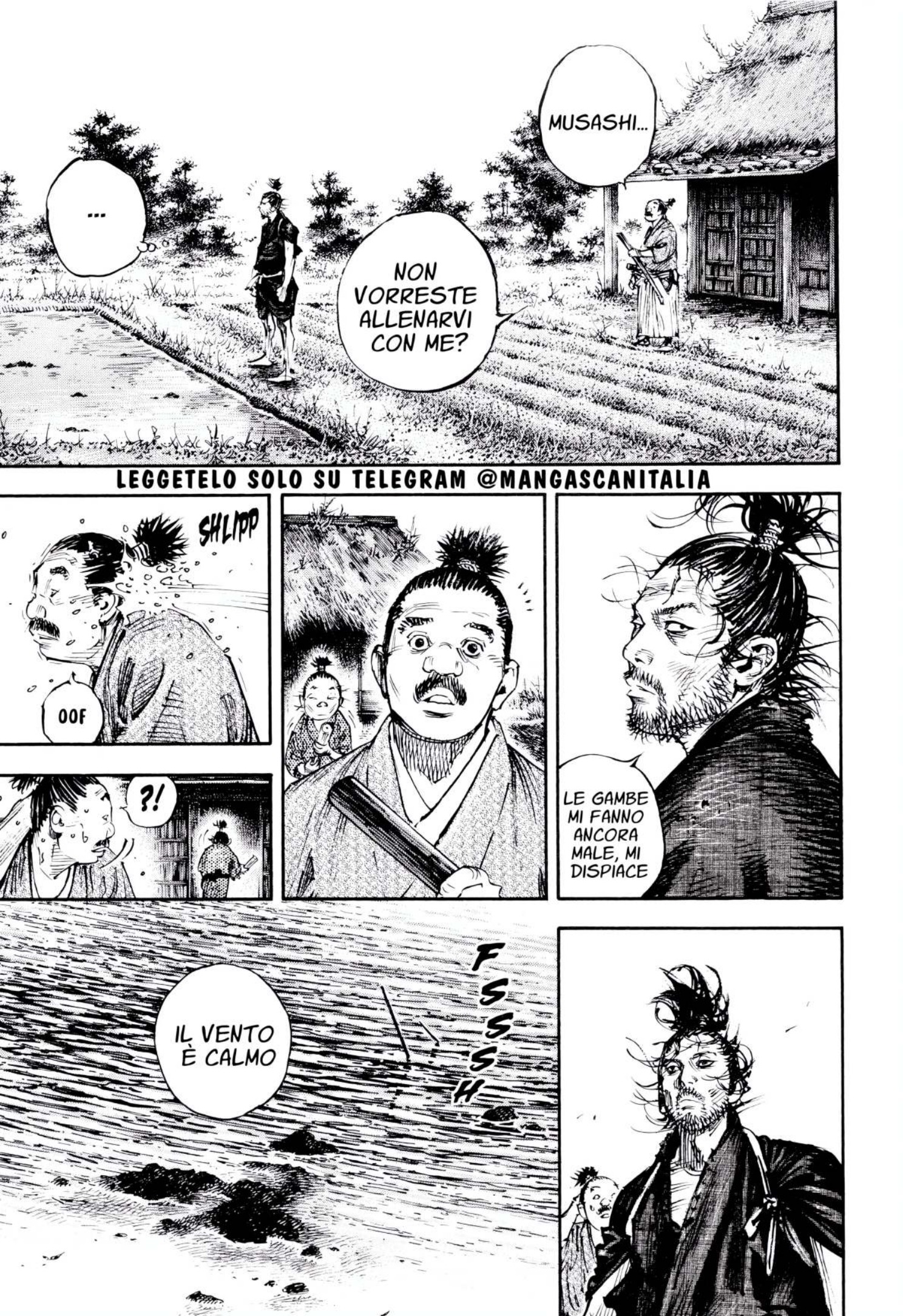 Read Vagabond IT Manga Online