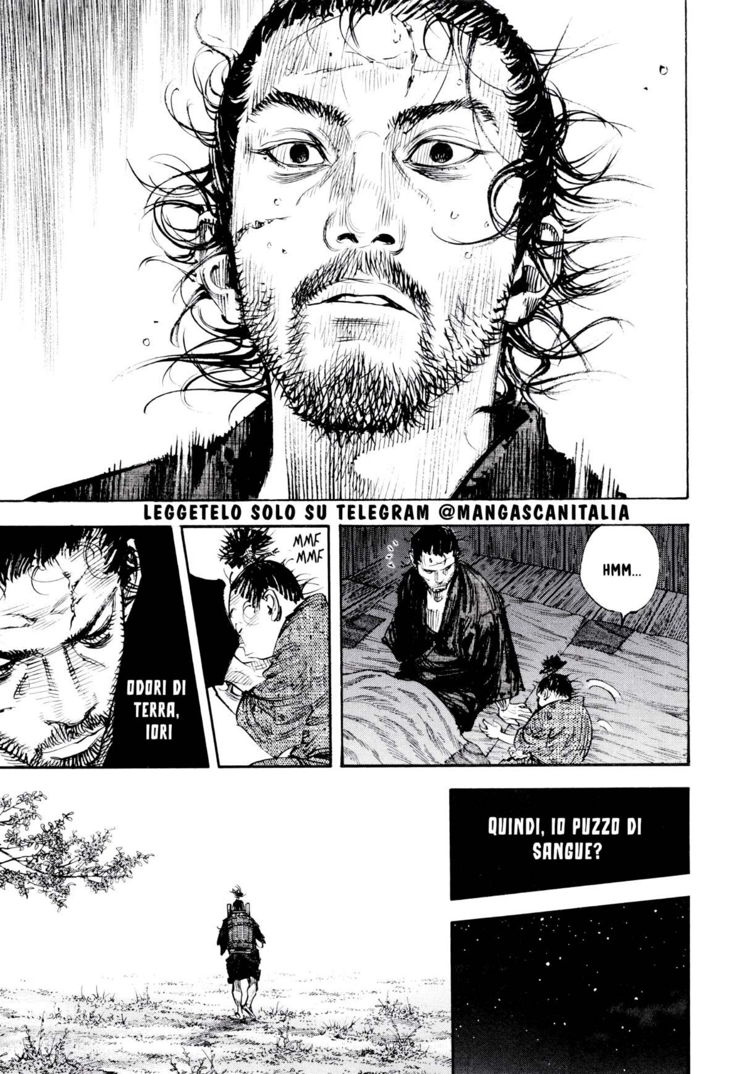Read Vagabond IT Manga Online