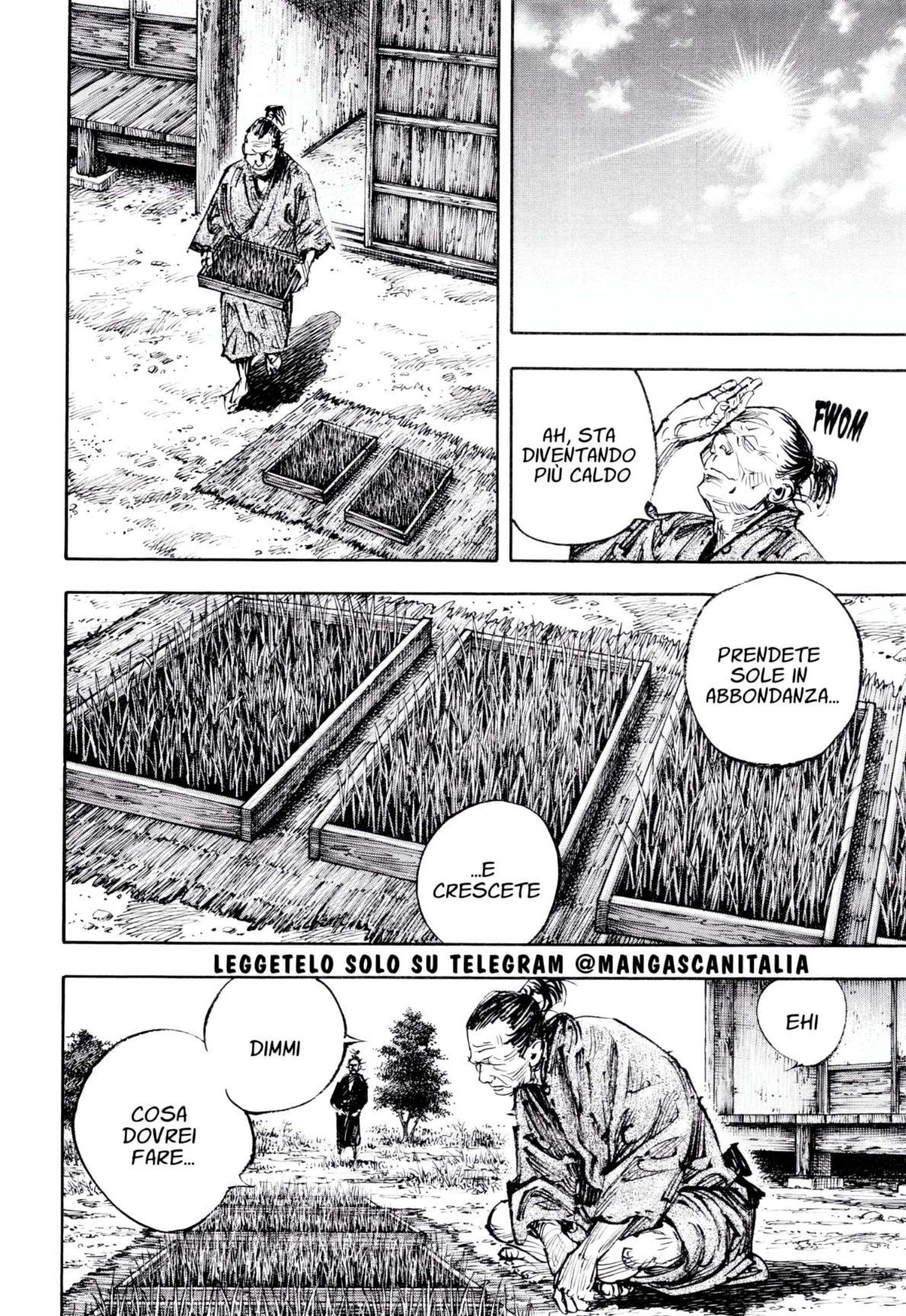 Read Vagabond IT Manga Online