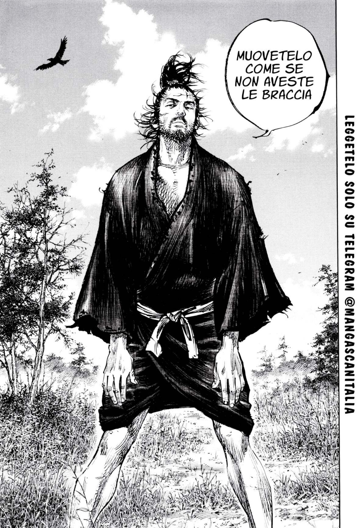 Read Vagabond IT Manga Online