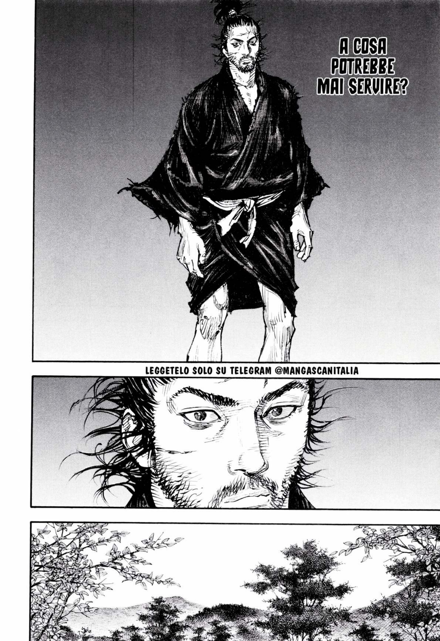 Read Vagabond IT Manga Online