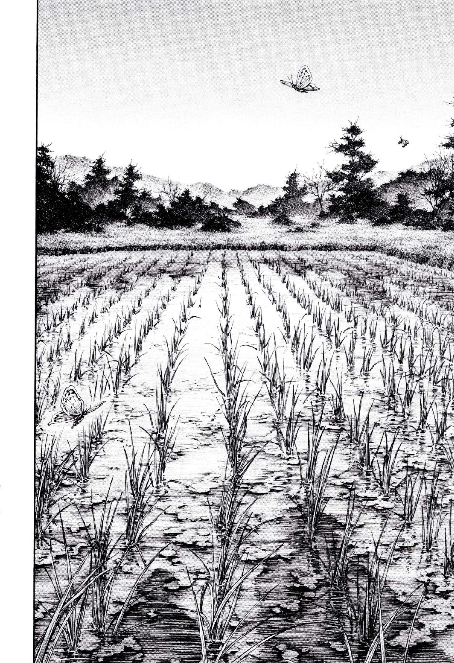 Read Vagabond IT Manga Online