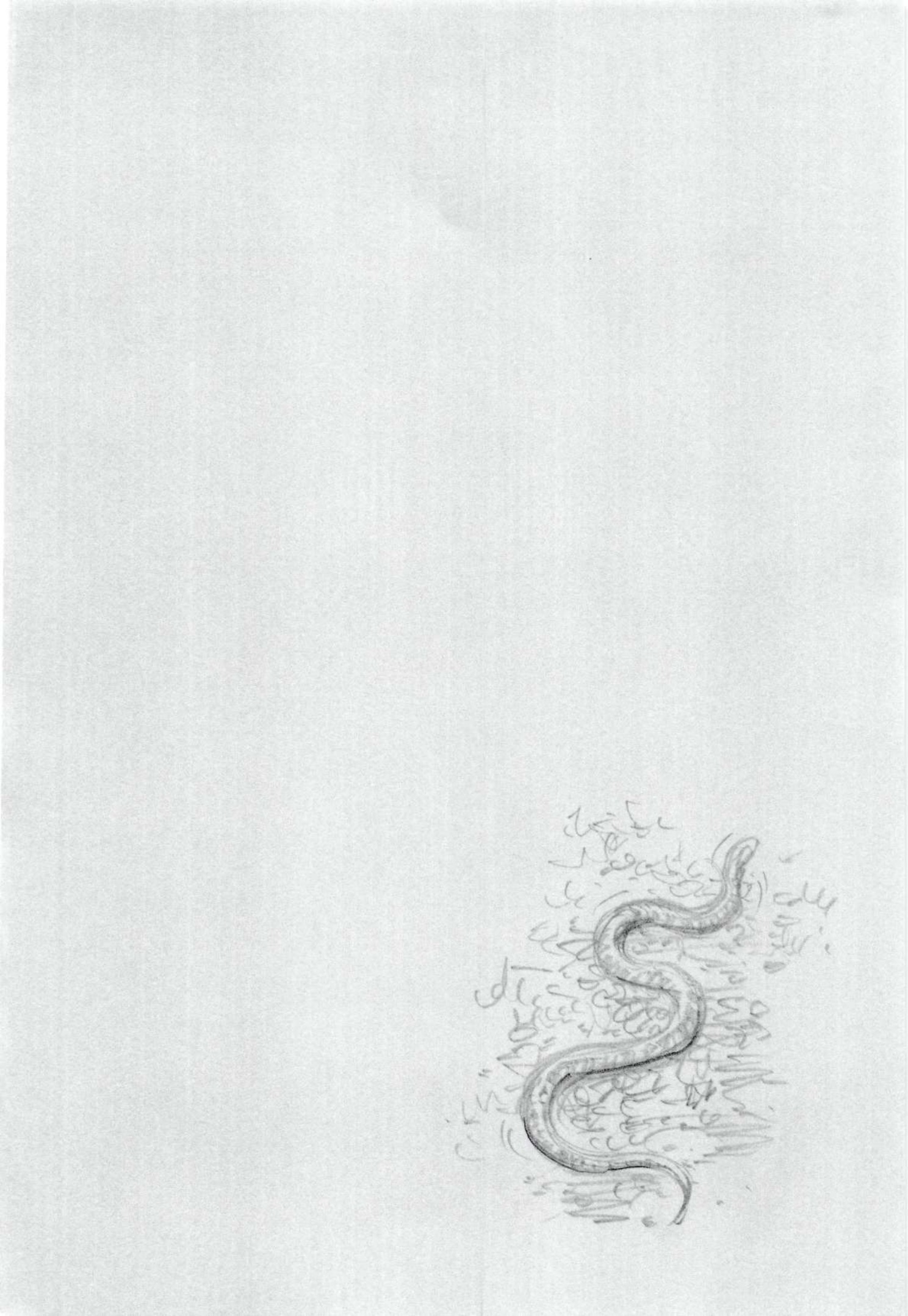 Read Vagabond IT Manga Online