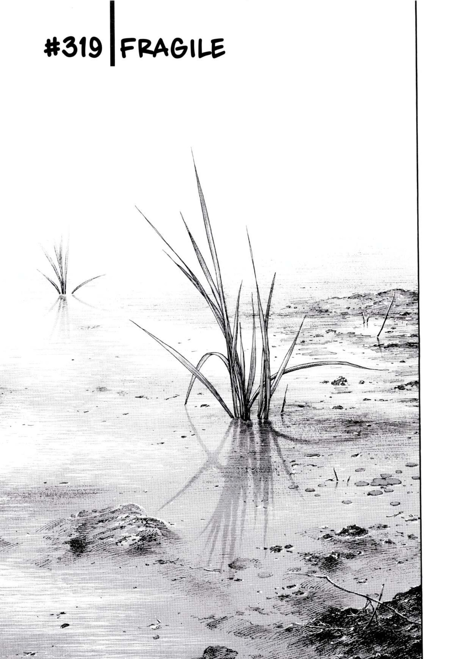 Read Vagabond IT Manga Online