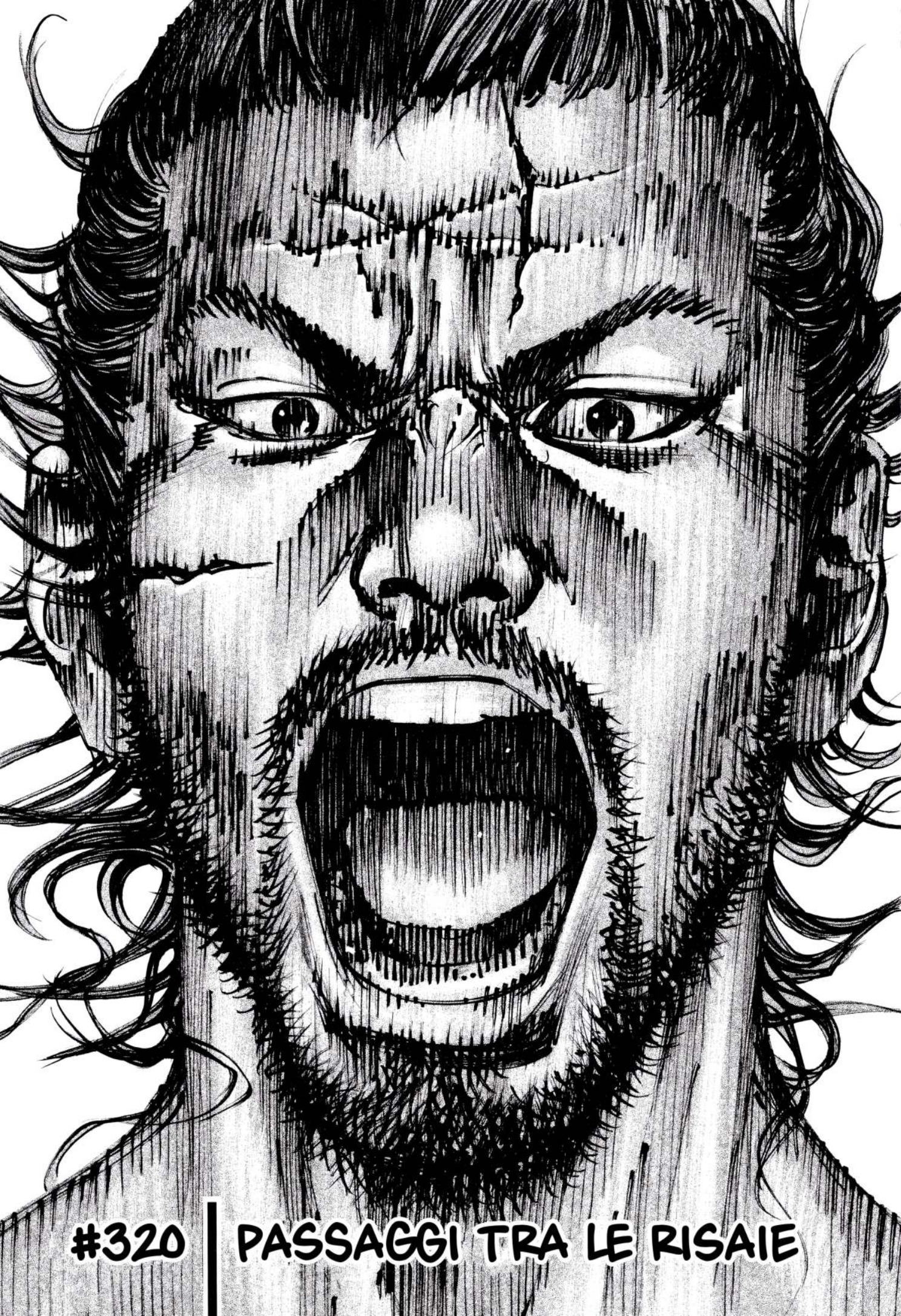 Read Vagabond IT Manga Online
