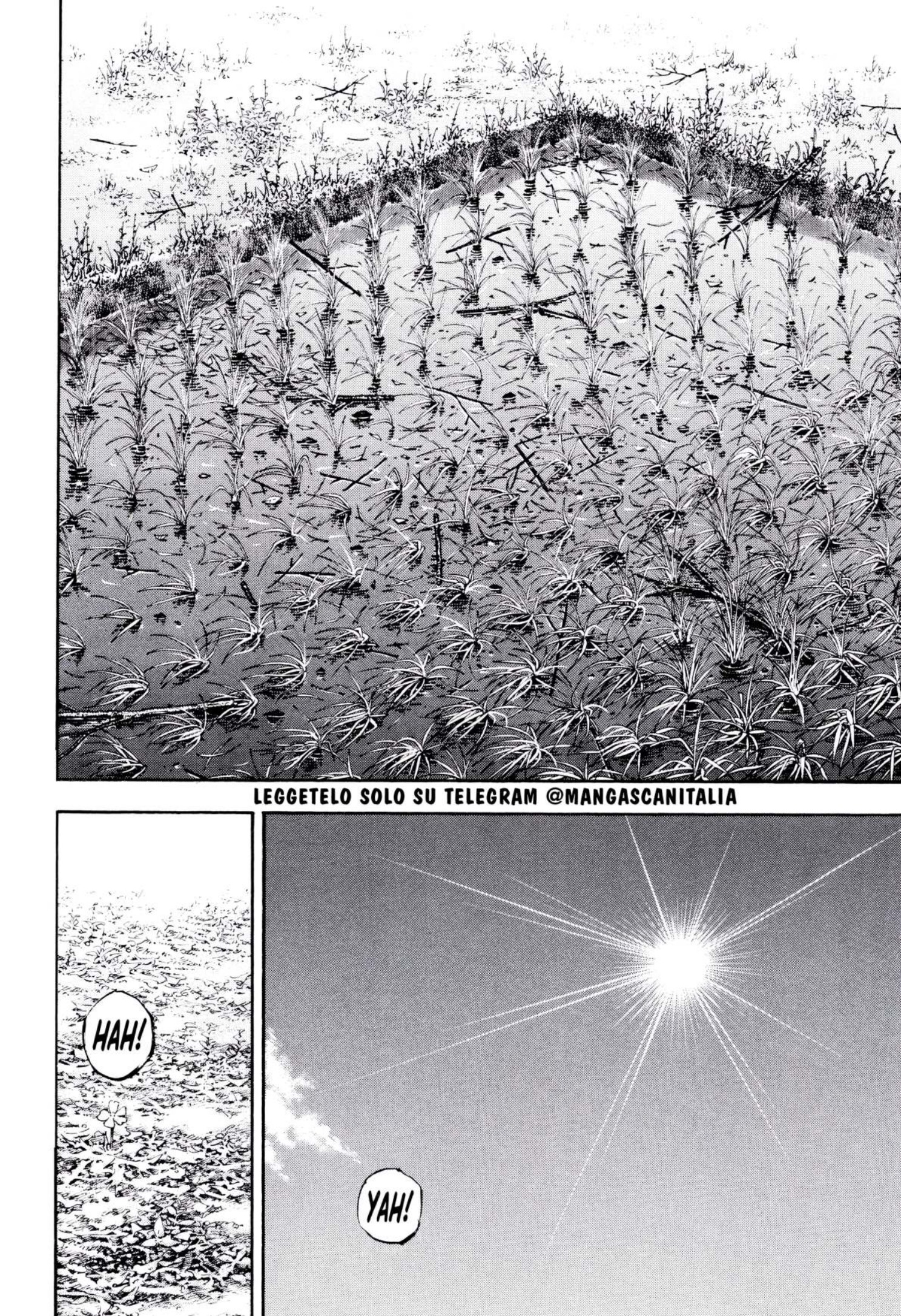 Read Vagabond IT Manga Online