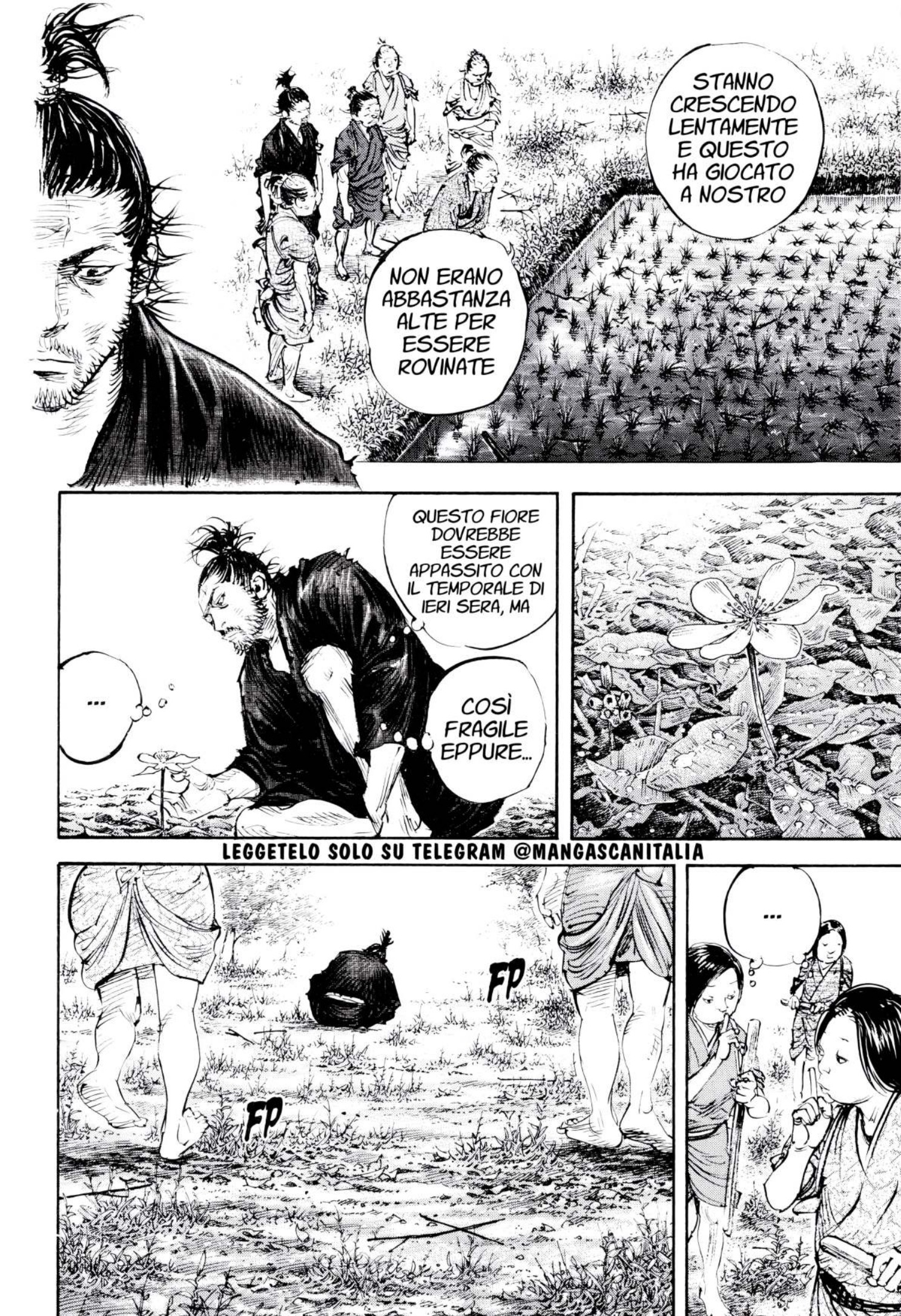 Read Vagabond IT Manga Online