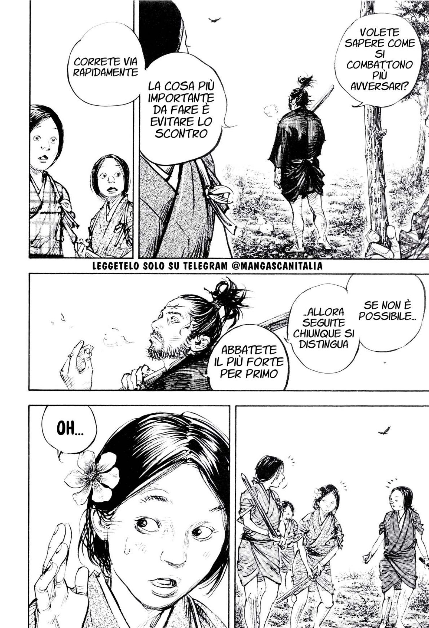 Read Vagabond IT Manga Online