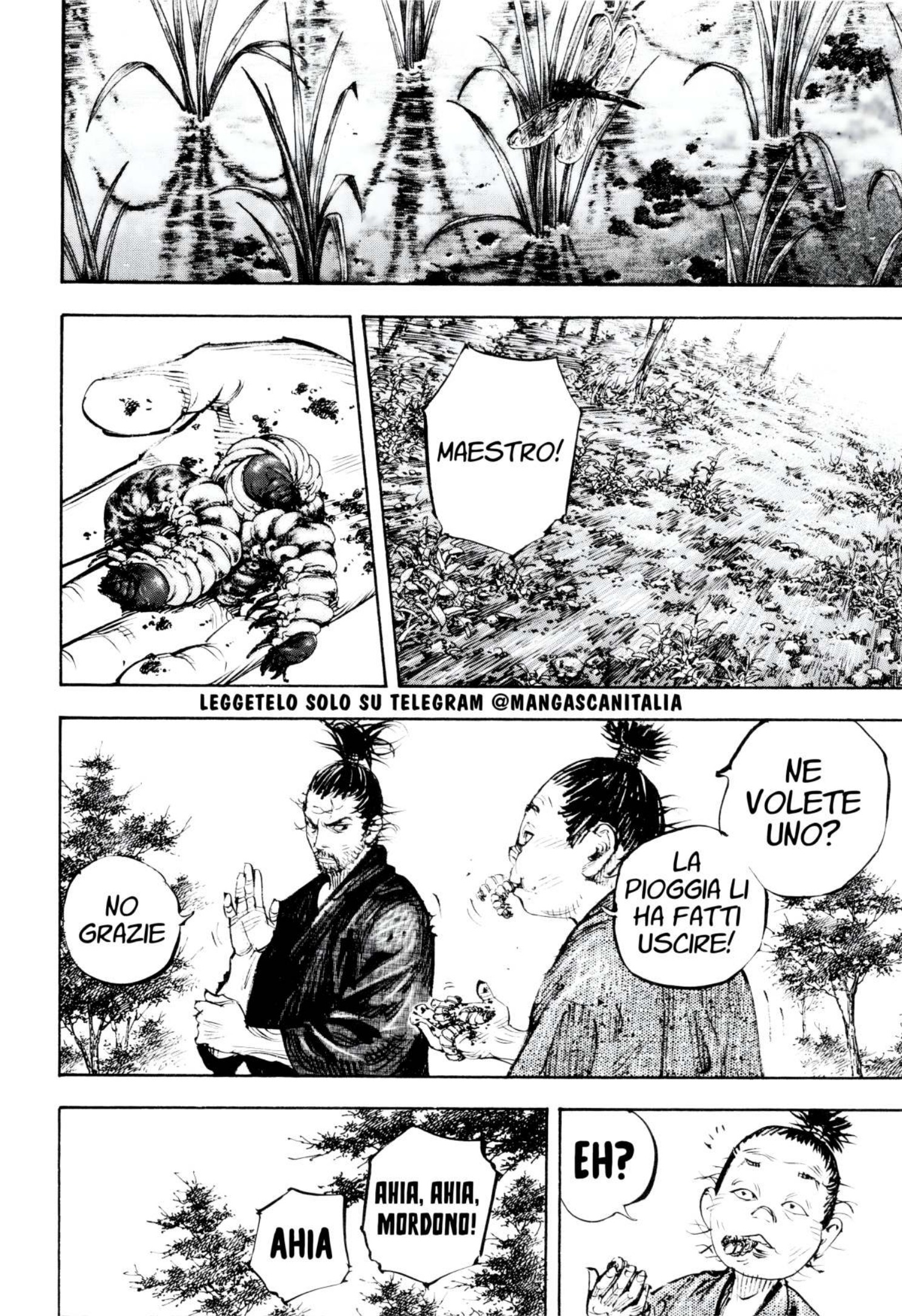 Read Vagabond IT Manga Online
