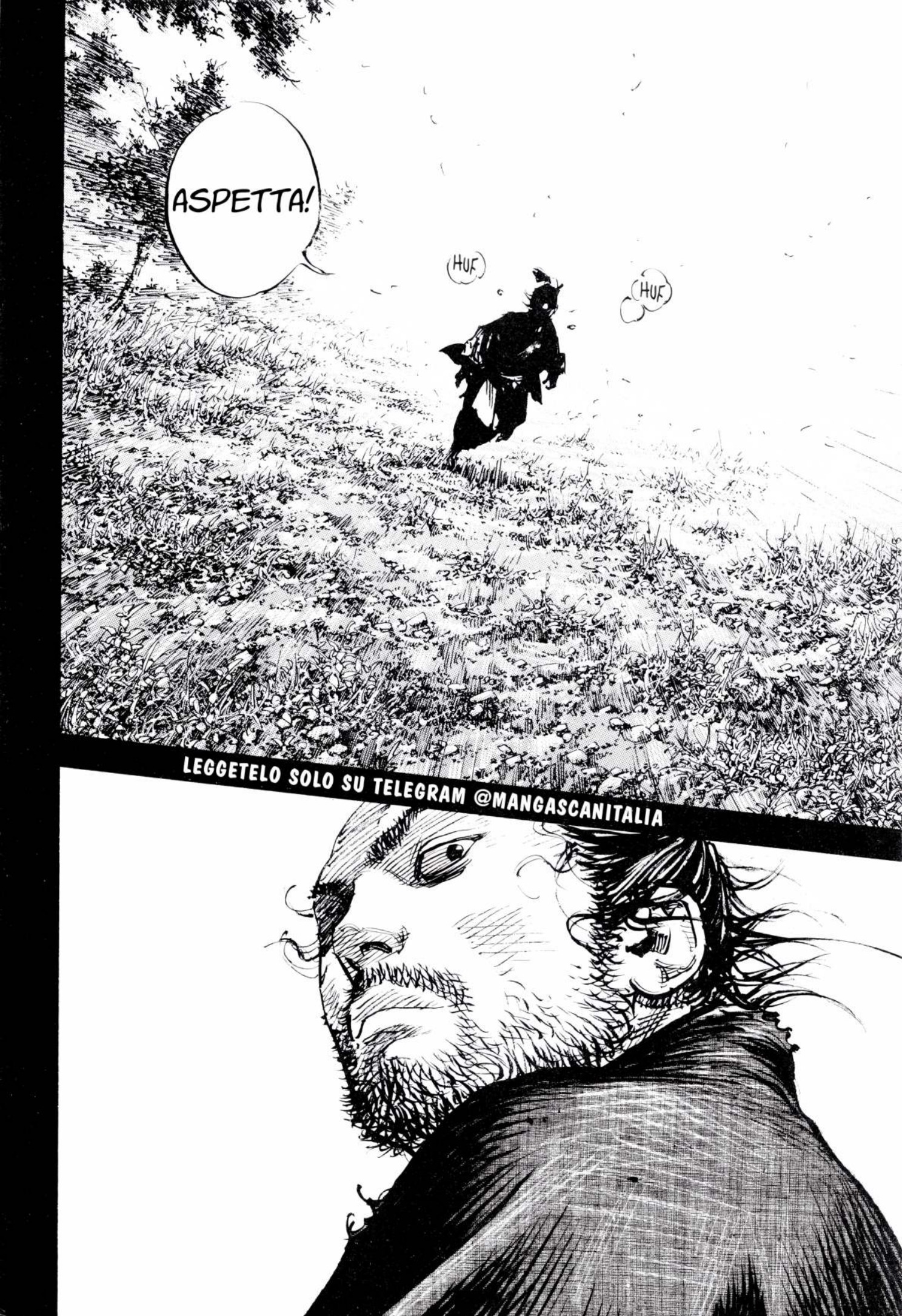 Read Vagabond IT Manga Online