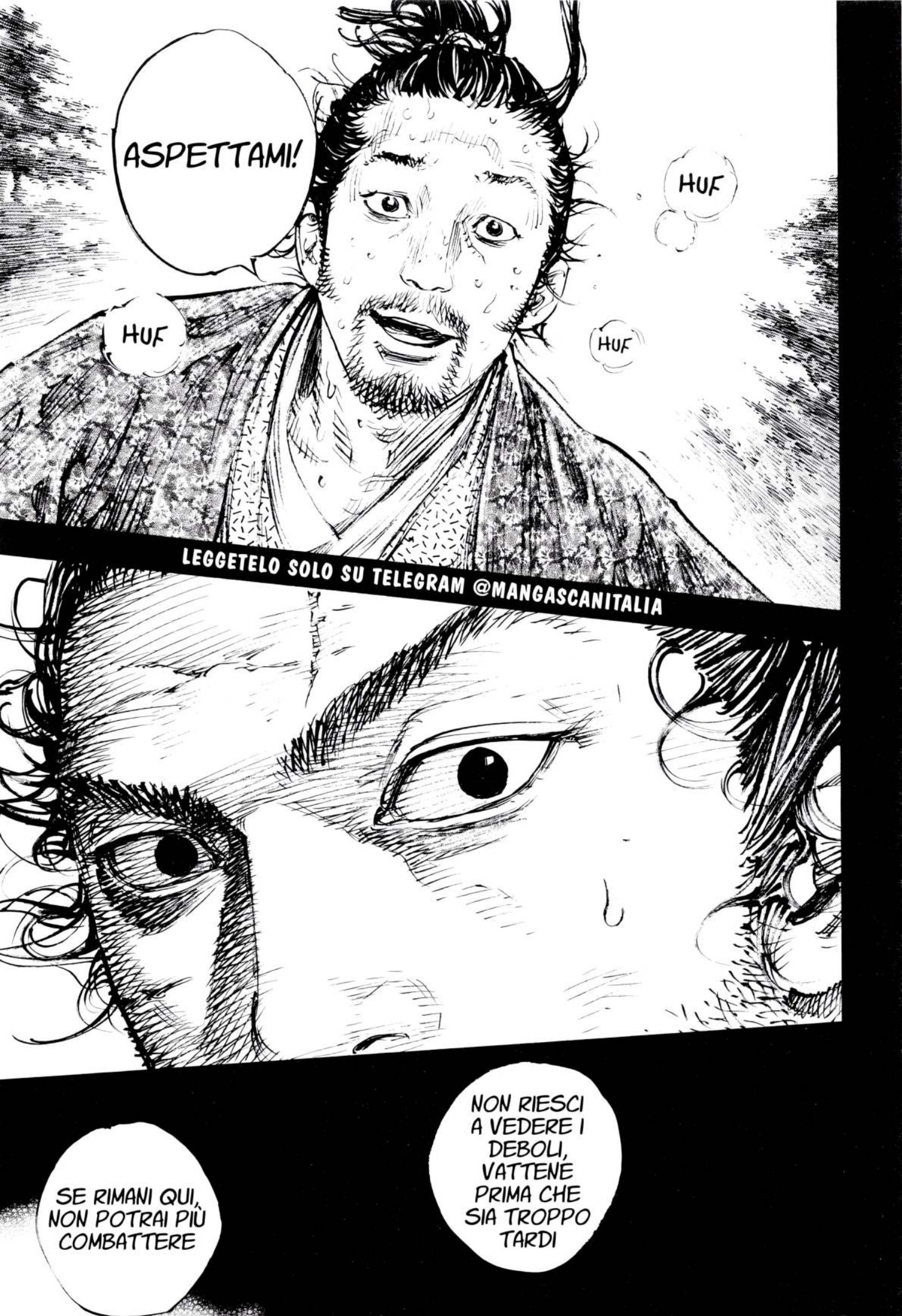 Read Vagabond IT Manga Online