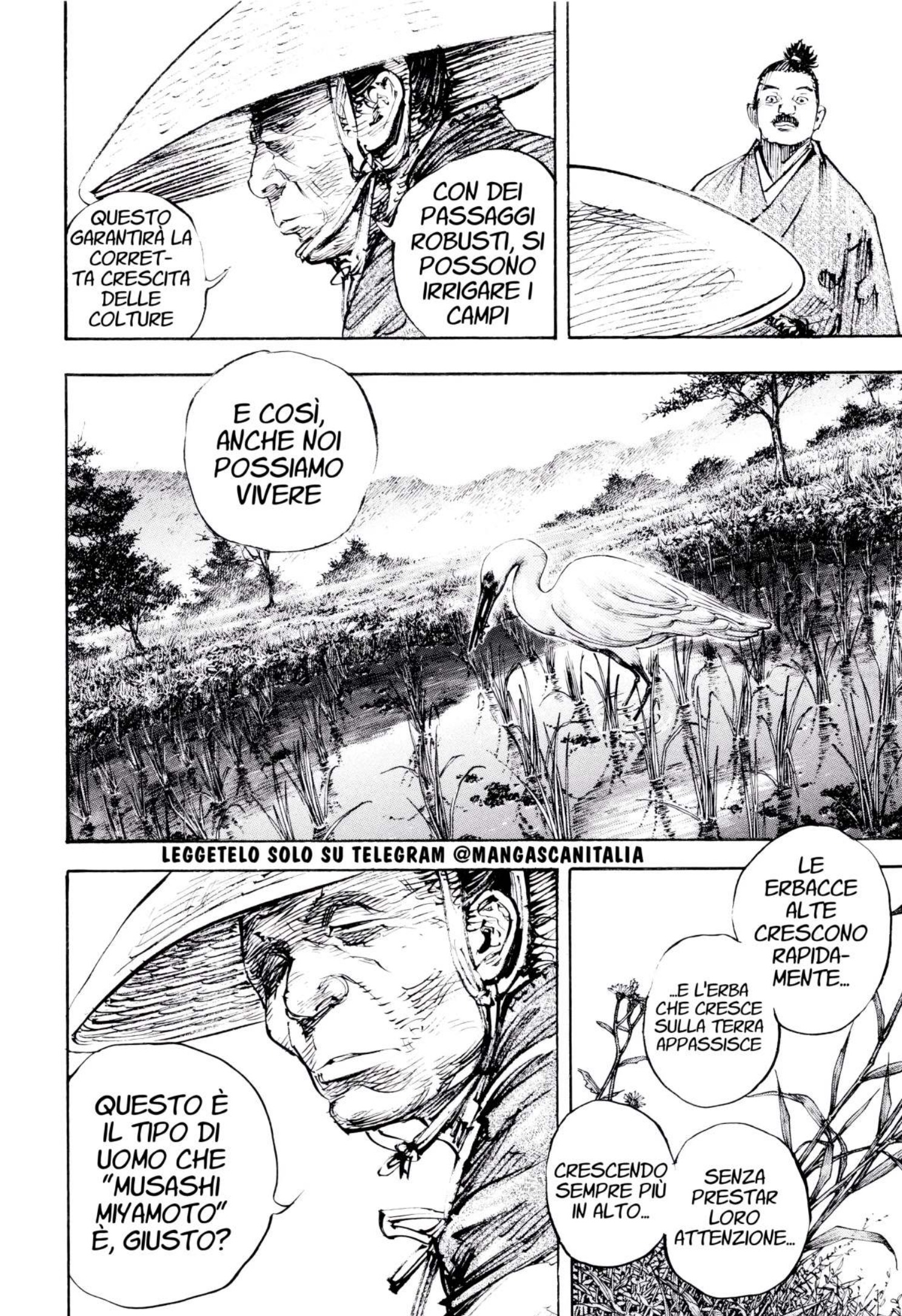 Read Vagabond IT Manga Online